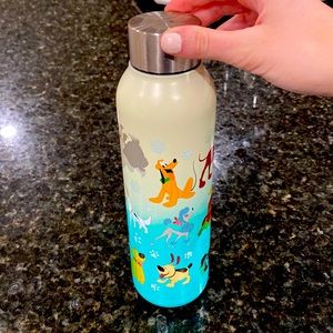 Walt Disney world store Disney character water bottle